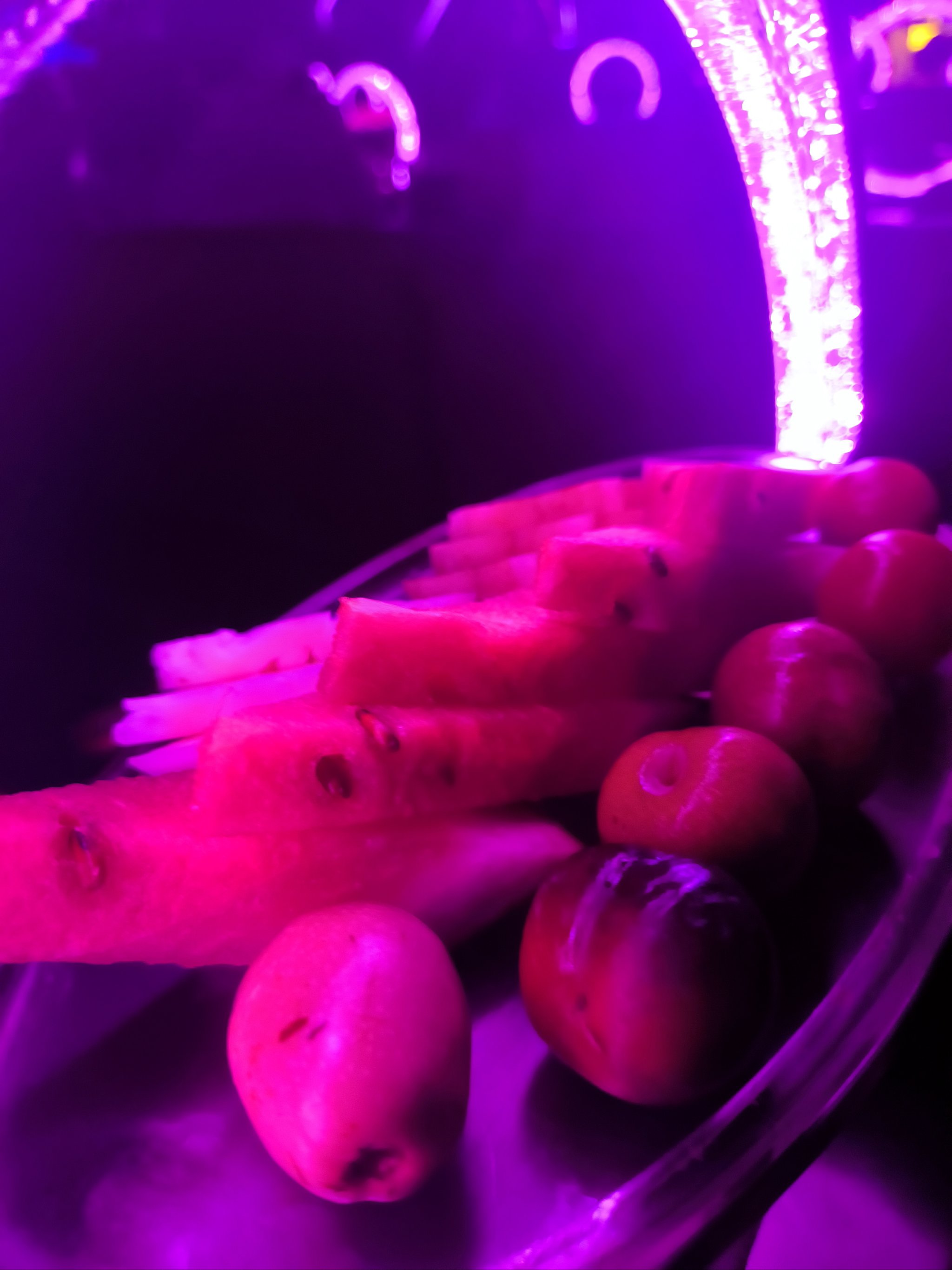 宿州商务ktv，单人商务ktv怎么玩-萧县ktv预定